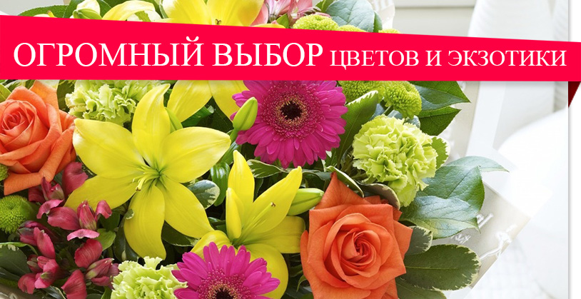 Огромный выбор цветов и букетов от «Flower Shop»